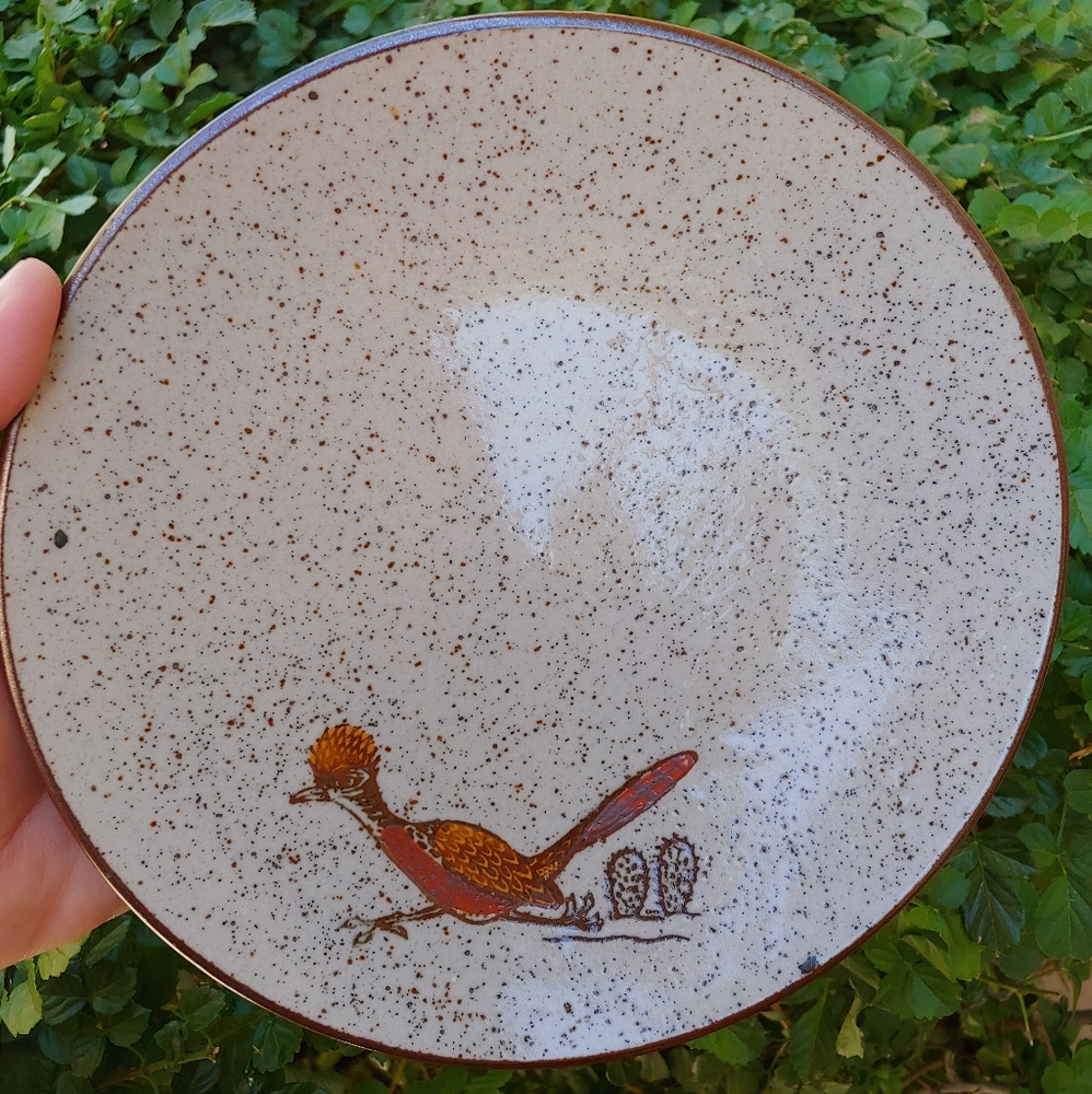 Vintage Otagiri Roadrunner Cactus Speckled Plate